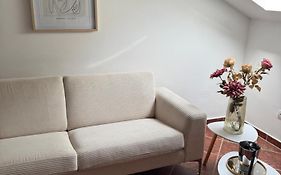 Apartment Damjan
